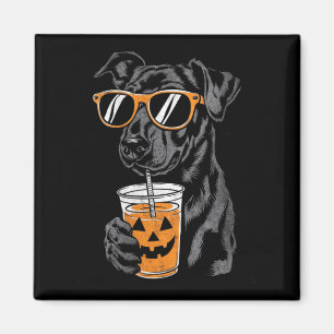 Schwarzer Hund mit Kürbisgetränk-Sonnenbrille für Magnet