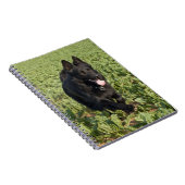 Schwarzer Hund Notizblock (Rechte Seite)