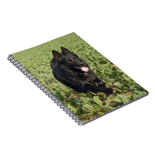 Schwarzer Hund Notizblock (Rechte Seite)