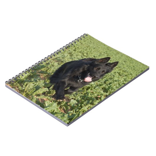 Schwarzer Hund Notizblock (Linke Seite)