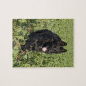 Schwarzer Hund Puzzle (Horizontal)