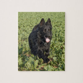 Schwarzer Hund Puzzle