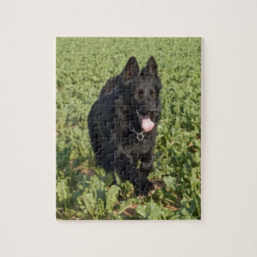 Schwarzer Hund Puzzle (Vertikal)