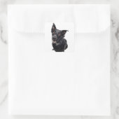 Schwarzer Hund Quadratischer Aufkleber (Tasche)