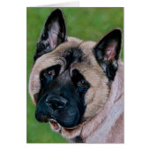 Schwarzer Hund-Sprichwort (Vorne)