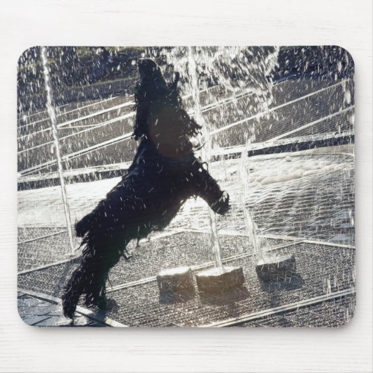 Schwarzer Hund springt auf der Wasserseite durch e Mousepad (Vorne)