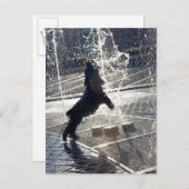 Schwarzer Hund springt auf der Wasserseite durch e Postkarte (Vorne/Hinten)