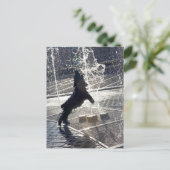 Schwarzer Hund springt auf der Wasserseite durch e Postkarte (Stehend Vorderseite)