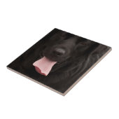 Schwarzer Hundegesicht Fliese (Seite)