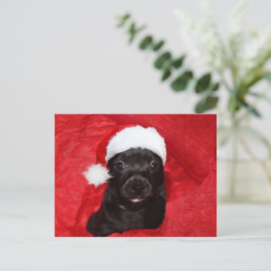 Schwarzer Hundehund Weihnachten (Stehend Vorderseite)