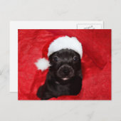 Schwarzer Hundehund Weihnachten (Vorne/Hinten)