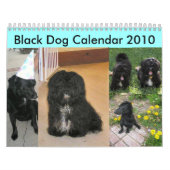Schwarzer Hundekalender 2010 Kalender (Titelbild)