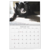 Schwarzer Hundekalender 2010 Kalender (Feb 2027)