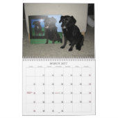 Schwarzer Hundekalender 2010 Kalender (Mär 2027)