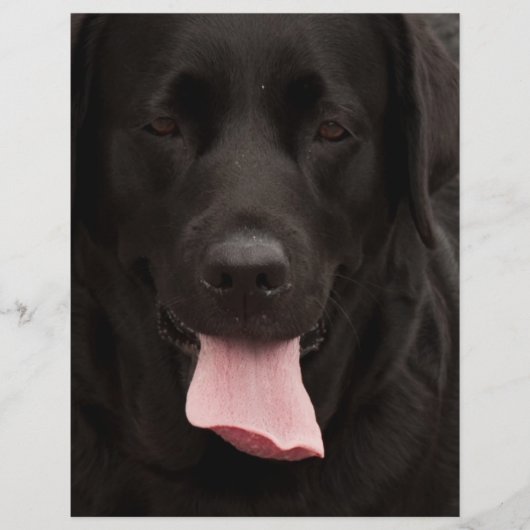 Schwarzer Hundekopf Flyer (Vorne)