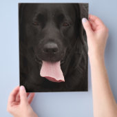 Schwarzer Hundekopf Flyer (Hand)