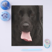 Schwarzer Hundekopf Flyer (Einzeln)