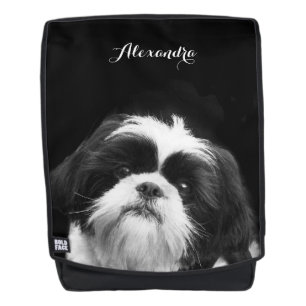 schwarzer Hundeschriftrucksack Shih Tzu Rucksack