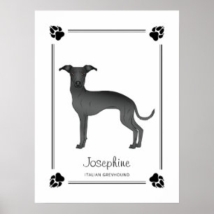 Schwarzer Italienischer Windhund mit Pfoten und in Poster