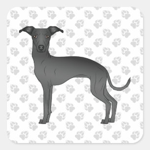 Schwarzer Italienischer Windhund Süßer Cartoon-Hun Quadratischer Aufkleber