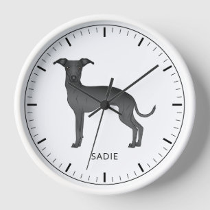 Schwarzer Italienischer Windhund Süßer Hund Mit Be Uhr