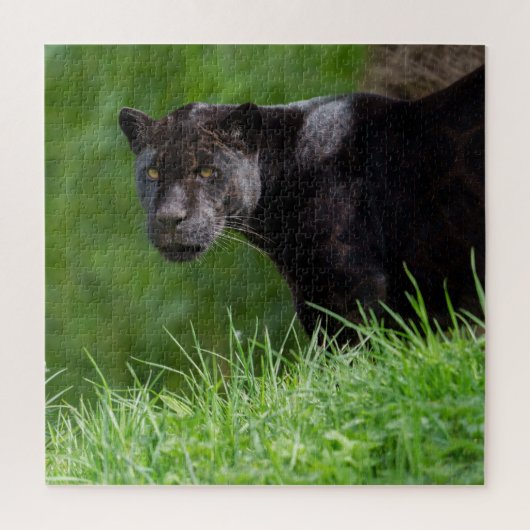 Schwarzer Jaguar, der das Licht besitzt Puzzle (Vertikal)
