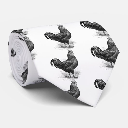 schwarzer Java-Hahn Krawatte (Gerollt)