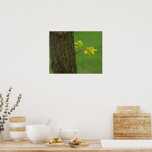 Schwarzer Johannisbaum, der einen neuen Zweig wach Poster (Küche)