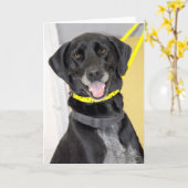 Schwarzer Karte (Gelbe Blume)