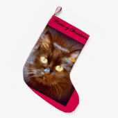 Schwarzer Kätzchen Kleiner Weihnachtsstrumpf (Vorderansicht (hängend))
