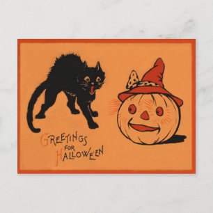 Schwarzer Katze Jack O Lantern Kürbis Hexenhut Postkarte