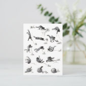 Schwarzer Katzenball und Wollgarnball, Alexandre S Postkarte (Stehend Vorderseite)