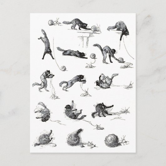 Schwarzer Katzenball und Wollgarnball, Alexandre S Postkarte (Vorderseite)