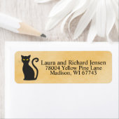 Schwarzer Katzenhai und schattiges Orange (Insitu)