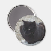 Schwarzer Katzenmagnet Magnet (Vorderseite/Rückseite)