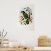 Schwarzer Katzenvogel von John Gould Poster (Küche)