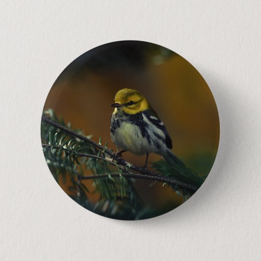 Schwarzer Kehlkopfgrasmücken Button (Vorderseite)