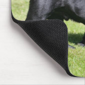 Schwarzer keuchender Mops beim Gehen Mousepad (Ecke)