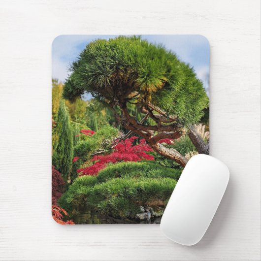 Schwarzer Kiefer und roter japanischer Ahornbaum Mousepad (Mit Mouse)