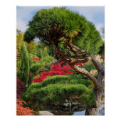 Schwarzer Kiefer und roter japanischer Ahornbaum Poster (Vorderseite)