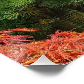 Schwarzer Kiefer und roter japanischer Ahornbaum Poster (Ecke)