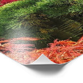 Schwarzer Kiefernbaum und roter japanischer Ahorn Fotodruck (Ecke)