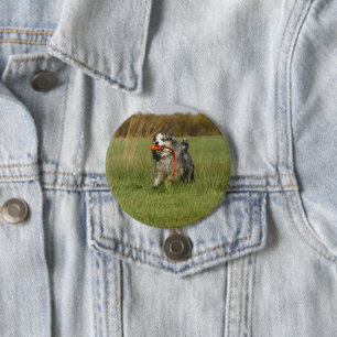 Schwarzer Kleinhirtenspielzeug Button