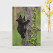 Schwarzer kletternder Baum Bärenjungen Karte (Gelbe Blume)