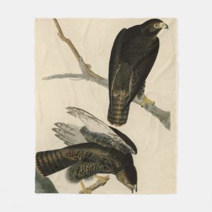 Schwarzer Krieger (Rotschwanzfalken) von Audubon-V Fleecedecke
