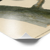 Schwarzer Krieger (Rotschwanzfalken) von Audubon-V Fotodruck (Ecke)