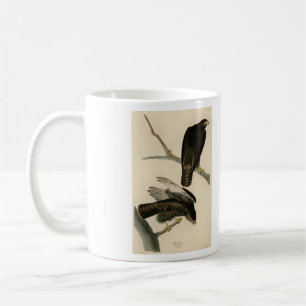 Schwarzer Krieger (Rotschwanzfalken) von Audubon-V Kaffeetasse