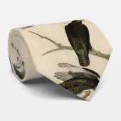 Schwarzer Krieger (Rotschwanzfalken) von Audubon-V Krawatte (Gerollt)