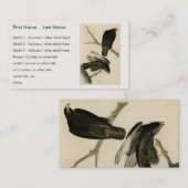 Schwarzer Krieger (Rotschwanzfalken) von Audubon-V Visitenkarte (Vorne/Hinten)