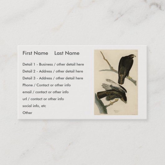 Schwarzer Krieger (Rotschwanzfalken) von Audubon-V Visitenkarte (Vorderseite)